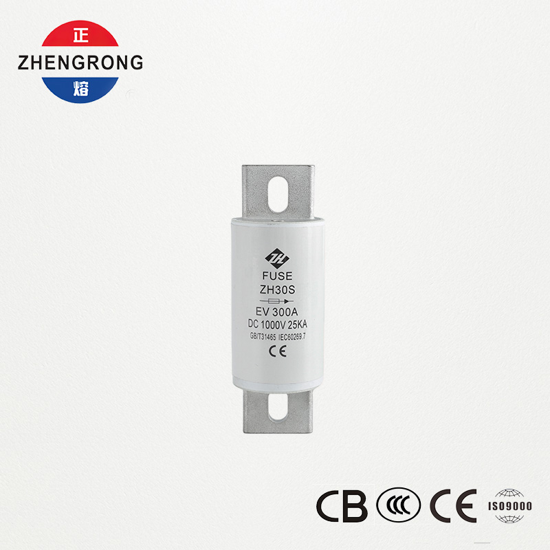 EV DC Fius 300A 1000V (ZH30S)